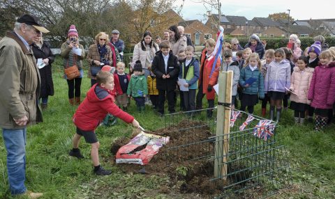 Pupi;s ofCawood C of E Primary School joined members of the parish council, villages and guest of honour, John Ljungdell as he planted an oak tree on The Garth to mark the coronation of King Charles lll on Tuesday afternoon. (NOV 21st). John was part of the forward thinking team that organised the purchase of The Garth, a piece of open land in the middle of the village in the 1980s to save it from development. pic mike cowling nov 21 2023